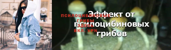 эйфоретик Богданович