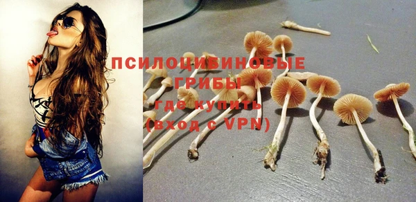 ешки Беломорск