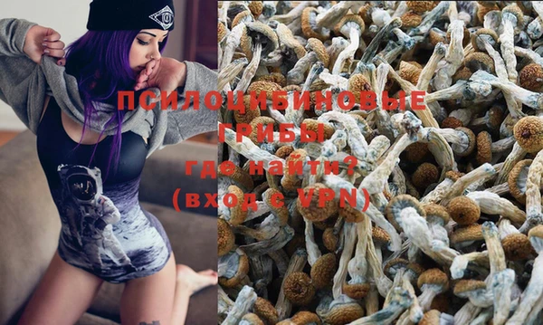 эйфоретик Богданович