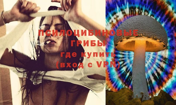 mdpv Белокуриха